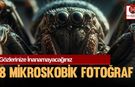 Gözlerinize İnanamayacağınız 8 Mikroskobik Fotoğraf