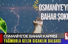 Osmaniye’de Bahar Kaprisi Yağmurla Gelen Sıcaklık Dalgası