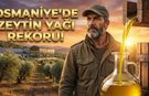 Osmaniye Zeytinde Altın Çağını Yaşıyor
