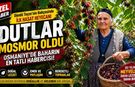 Bahçeden Sofraya Osmaniye'nin Meşhur Dutları Döndü Teyzenin Bahçesinde Göründü