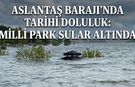 Görüntüler Videoda! Osmaniye Aslantaş Barajı'nda doluluk rekoru kırıldı