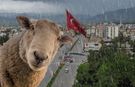 Osmaniye'de Kurban Bayramı'nda Hava Nasıl Olacak?