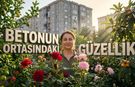 Osmaniye'nin Merkezinde 16 Yıllık Gelenek Görenleri Büyülüyor