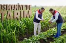 Osmaniye’de En Çok Hangi Tarım Ürünleri Yetişir?