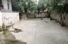 Osmaniye'de Bu Apartmanın Bahçesi Kedilere Emanet!