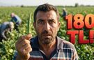 Osmaniye Bamya Üretiminde Rekora Koşarken Etiketler Neden İki Katına Çıktı?