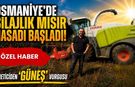 Osmaniye'de Silajlık Mısır Hasadı Başladı! Üreticiden 'Güneş' Vurgusu