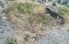 ''Pikniğe Geldik, Pişman Olduk!" Osmaniye Karaçay'da Çöp ve Bakımsızlık Tepkisi