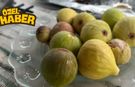 Osmaniye'de İlk İncirler Olgunlaştı! Yazın En Tatlı Lezzeti Sofralarda