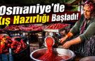 Osmaniye'de Salçalık Biber Mesaisi Başladı