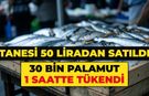 Tanesi 50 liradan satışa çıktı, 30 bin palamut 1 saatte tükendi
