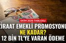 Ziraat Bankası emekli promosyonu ne kadar? Ziraat emekli promosyonu kaç TL, hangi maaşa ne kadar ödeniyor?