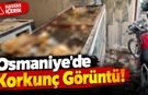 Osmaniye Alibeyli’de Pes Dedirten Manzara