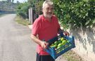 Toprakkaleli üretici sezonun ilk limonunu topladı "Kabuğunu bile ziyan etmeyiz"