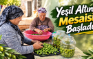 Toprakkale'de Yeşil Altın Dönemi Başladı! Avlularda Hazırlı Sürüyor