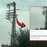 Toprakkale’de Gündüz Vakti Yanan Sokak Lambaları Dikkat Çekti
