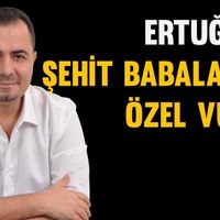 Politika