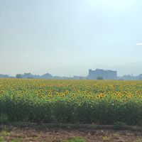 Osmaniye