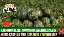 Adana mı? Osmaniye mi? Sizin Tercihiniz Hangi Karpuz?