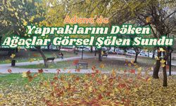 Adana’da Yapraklarını Döken Ağaçlar Görsel Şölen Sundu