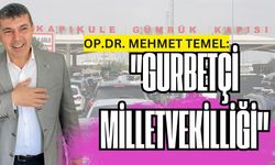 Mehmet Temel'den 'Gurbetçi Milletvekilliği' Önerisi