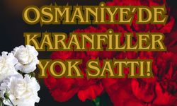 Osmaniye'de Karanfiller Yok Sattı!