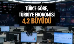 TÜİK'e Göre Türkiye Ekonomisi %4,2 Büyüdü