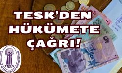 TESK Genel Başkanı'ndan Hükümete Çağrı!