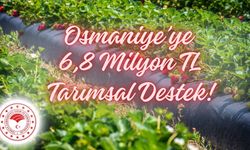 Tarım ve Orman Bakanlığı'ndan Osmaniye'ye Tarımsal Destek!