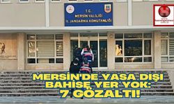 Mersin'de Yasa Dışı Bahise Yer Yok: 7 Gözaltı!