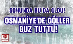 Osmaniye'de Göller Buz Tuttu!