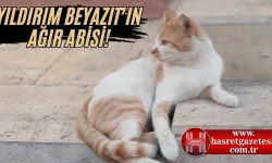 Yıldırım Beyazıt Mahallesi'nin Sevimli Maskotu