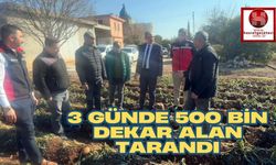 3 Günde 500 Bin Dekar Alan Tarandı