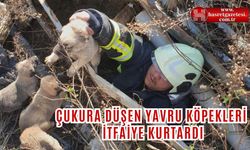 Çukura Düşen Yavru Köpekleri İtfaiye Kurtardı