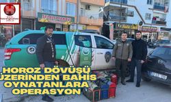 Horoz Dövüşü Üzerinden Bahis Oynatanlara Operasyon