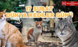 17 Şubat Neden Dünya Kediler Günü?