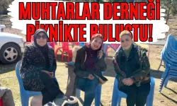 Cebelibereket Merkez Muhtarlar Derneği Piknikte Bir Araya Geldi!