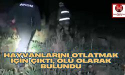 Hayvanlarını Otlatmak İçin Çıktı, Ölü Olarak Bulundu