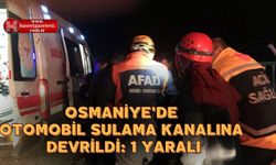 Osmaniye'de otomobil sulama kanalına devrildi: 1 yaralı