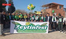 Osmaniye Zeytin Üretiminde Türkiye'de Öne Çıkıyor