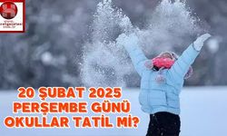 20 Şubat 2025 Perşembe Günü Okullar Tatil mi, Hangi İllerde Okullar Tatil, Hangi Bölgelerde Tatil