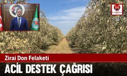 Zirai Don Felaketi, Acil Destek Çağrısı