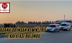 Adana'da İnsan Kemikleri Ve Kafatası Bulundu