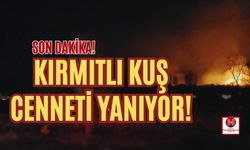 Kırmıtlı Kuş Cenneti'nde Yangın!