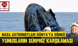 NASA Astronotları Dünya'ya Döndü, Yunusların Sürpriz Karşılaması