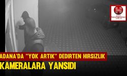 Adana'da ''Yok Artık'' Dedirten Hırsızlık Kameralara Yansıdı