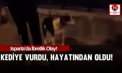 Isparta'da Hayvana Şiddet Gösteren Şahıs Cezaevinde!