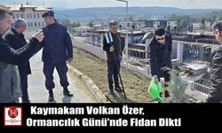 Kaymakam Volkan Özer, Ormancılık Günü’nde Fidan Dikti