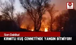 Osmaniye Kırmıtlı Kuş Cenneti Yanıyor!