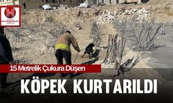 15 Metrelik Çukura Düşen Köpek Kurtarıldı